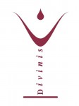 Logo Divinis