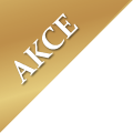 Akce Akce