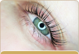 Lash lifting a Lash botox bomb Lash lifting a Lash botox bomb